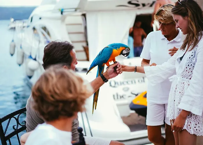 & Restaurant Guest house Rava