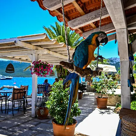 & Restaurant Πανσιόν 4*