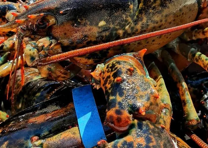 Гостевой дом & Restaurant 4*