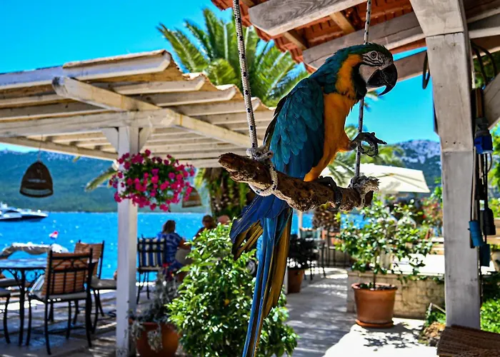 & Restaurant Πανσιόν 4*